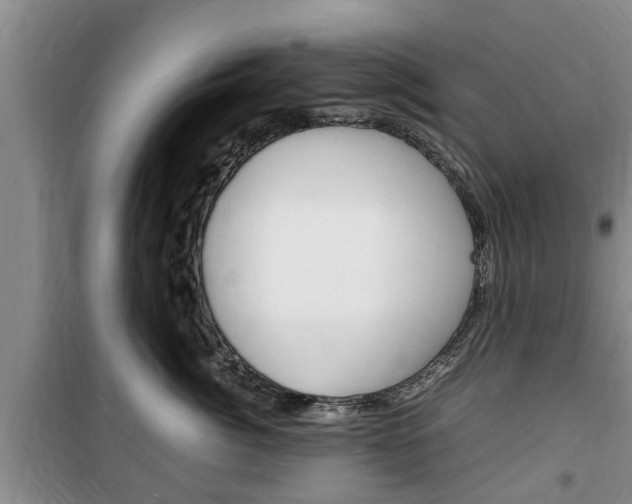 X0000100350764200806060800
