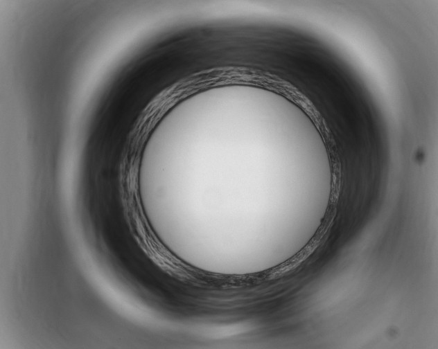 X0000100350765200806060800