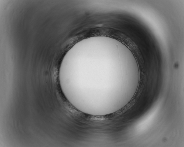 X0000100350767200806060800