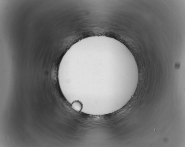 X0000100350768200806060800