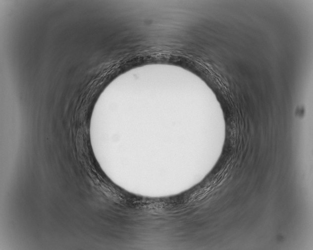 X0000100350769200806060759