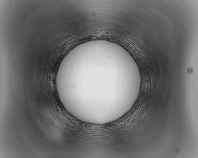 X0000100350770200806060759