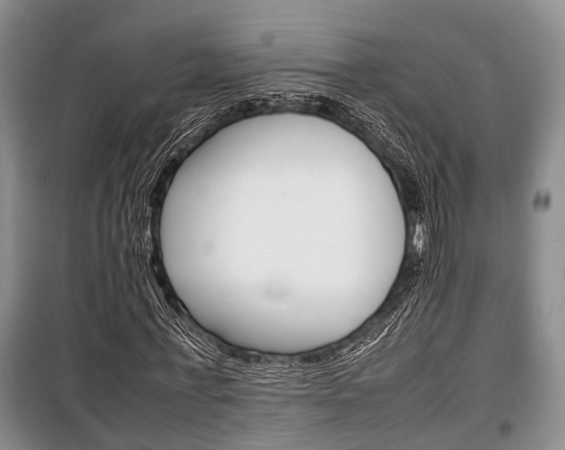 X0000100350771200806060759