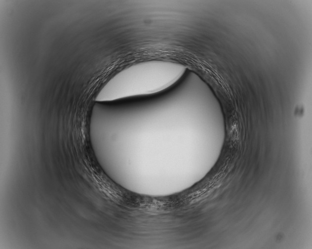 X0000100350772200806060759