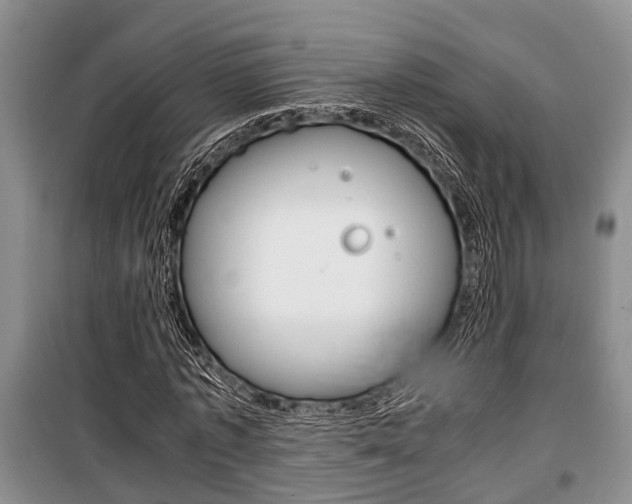 X0000100350773200806060759