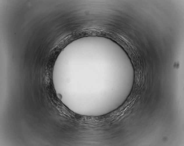 X0000100350774200806060759