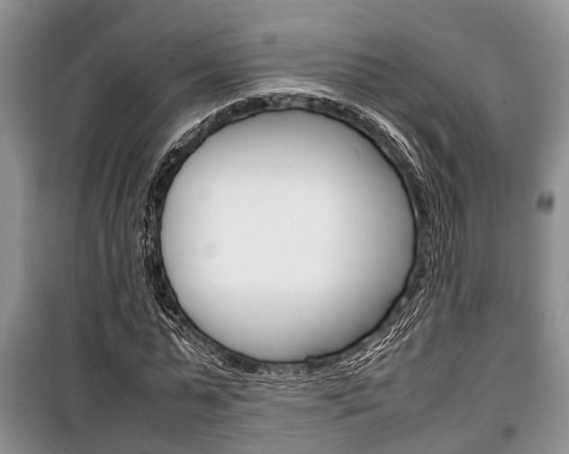 X0000100350775200806060759