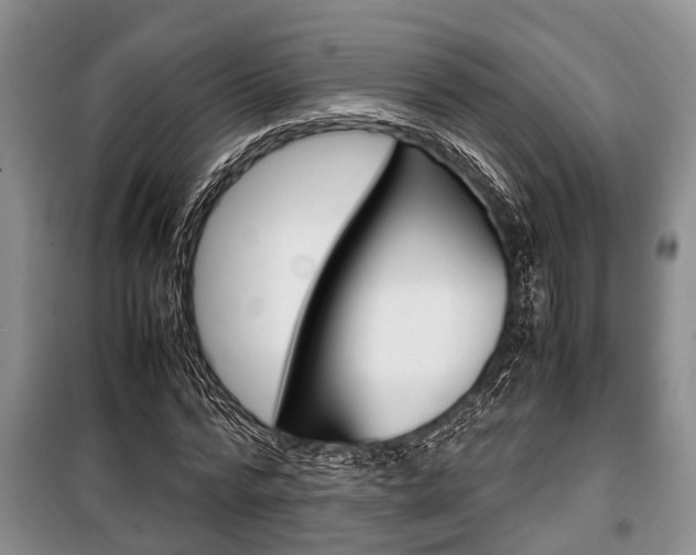X0000100350776200806060759