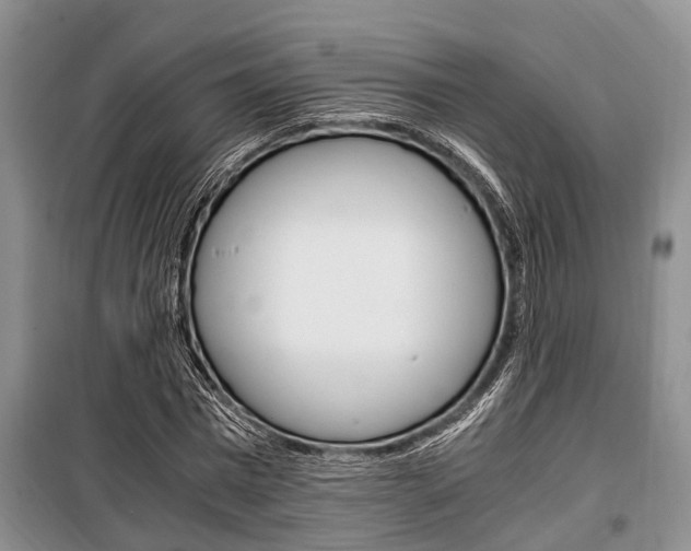 X0000100350777200806060759