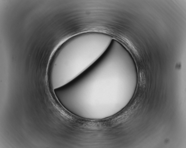 X0000100350780200806060759