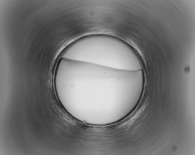 X0000100350781200806060759