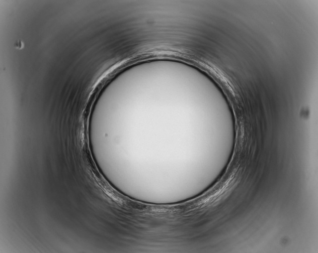 X0000100350782200806060759