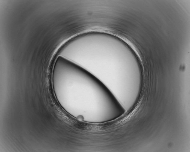 X0000100350783200806060759