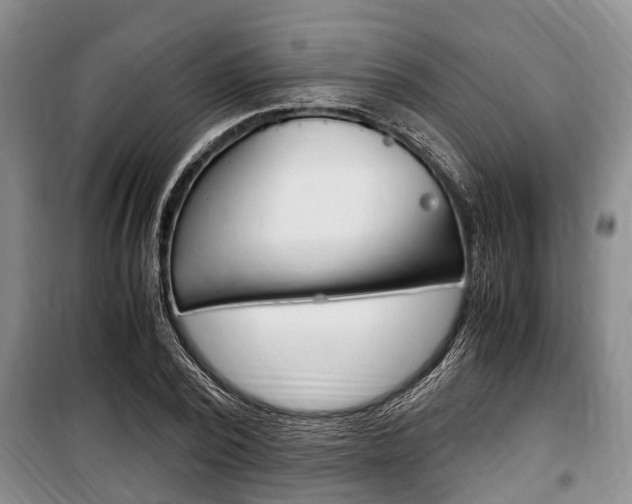 X0000100350784200806060759