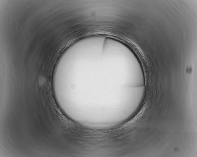 X0000100350785200806060759