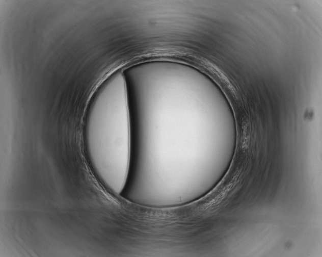 X0000100350786200806060759