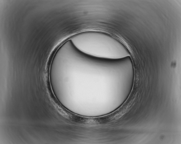 X0000100350787200806060759