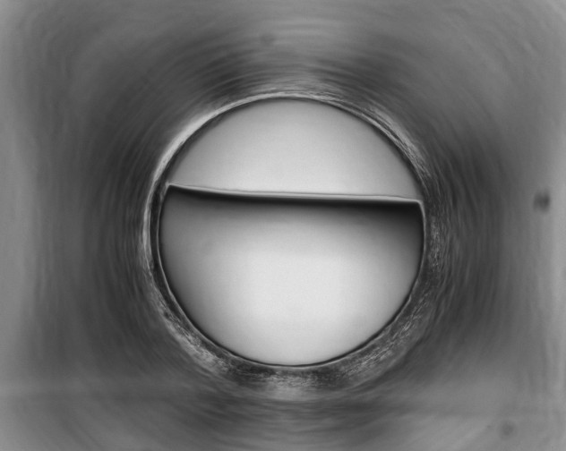 X0000100350788200806060759