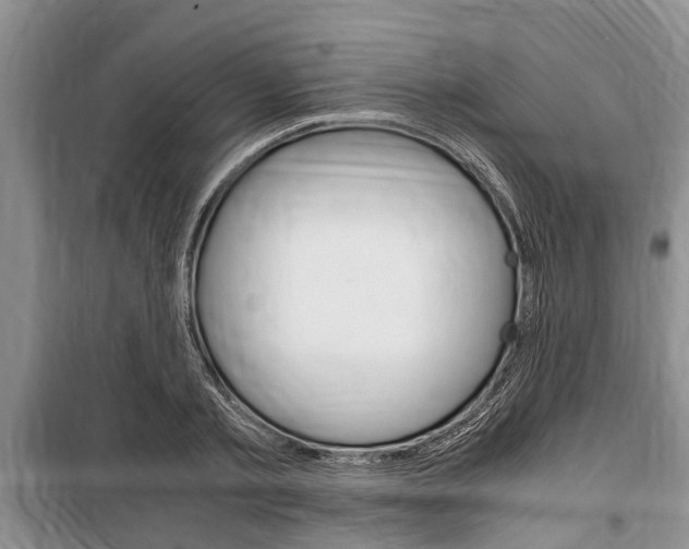 X0000100350789200806060759