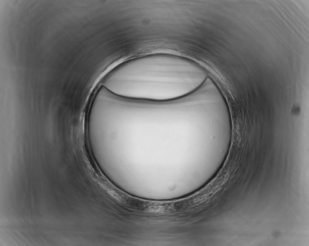 X0000100350790200806060759