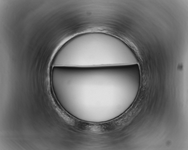 X0000100350792200806060759