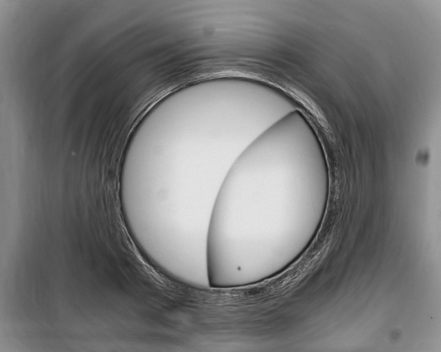 X0000100350793200806060759