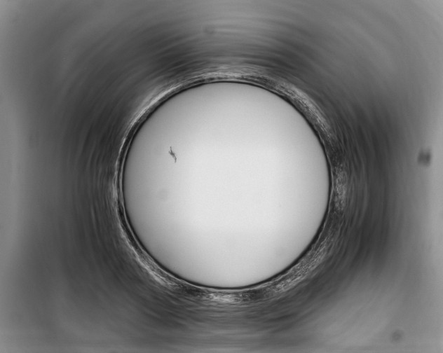 X0000100350794200806060759