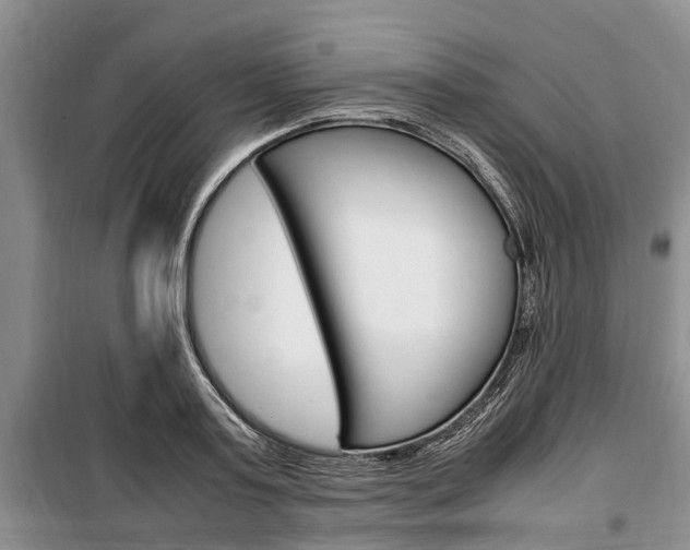 X0000100350795200806060759