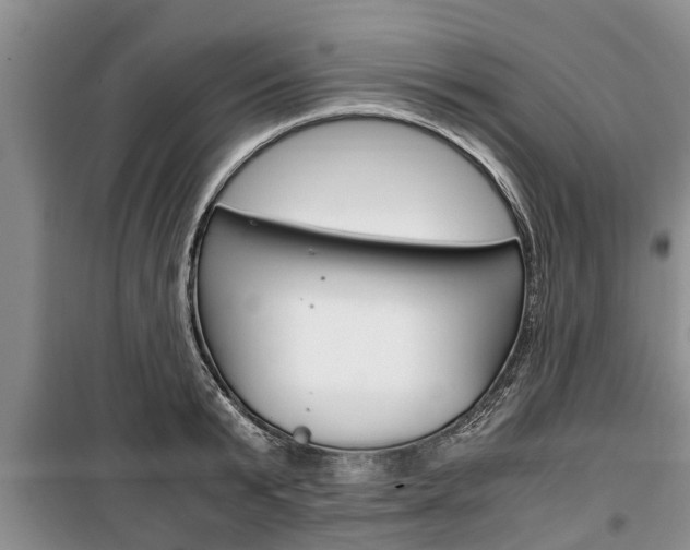 X0000100350799200806060759