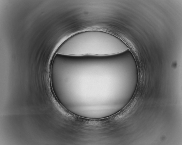 X0000100350800200806060759