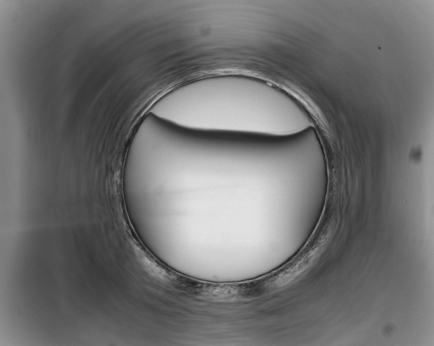 X0000100350801200806060759