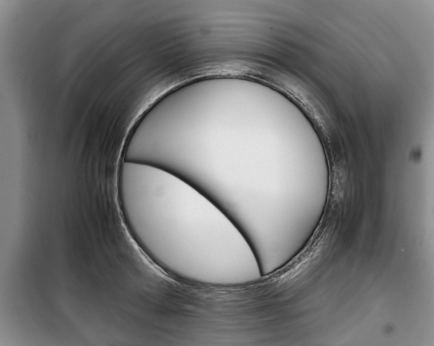 X0000100350802200806060759