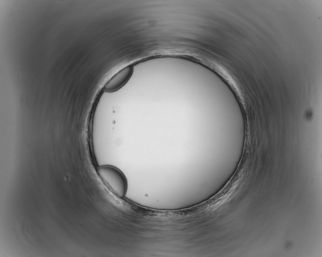 X0000100350803200806060759