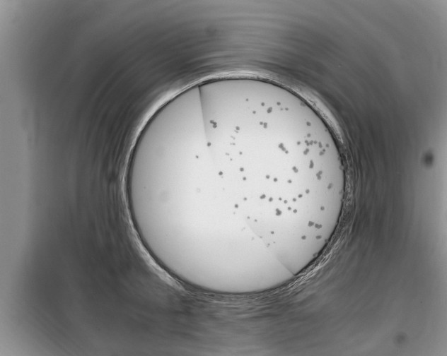 X0000100350805200806060759
