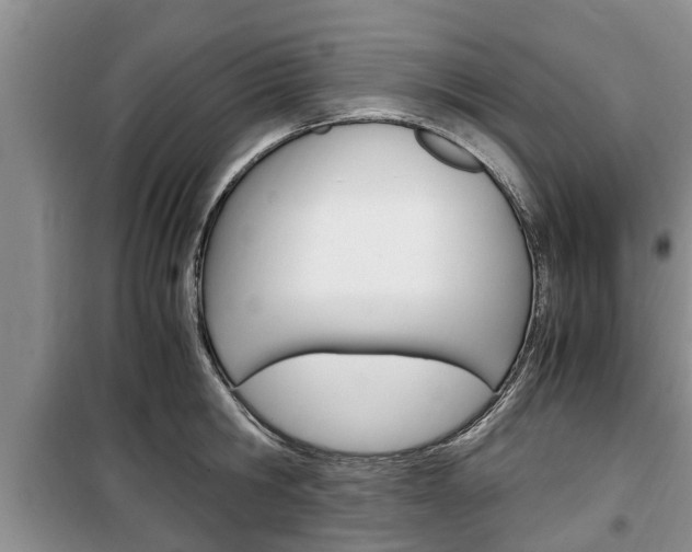 X0000100350806200806060759