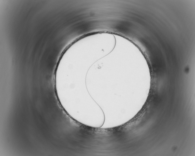 X0000100350807200806060759