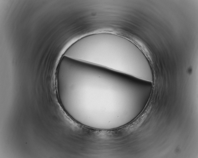 X0000100350808200806060759