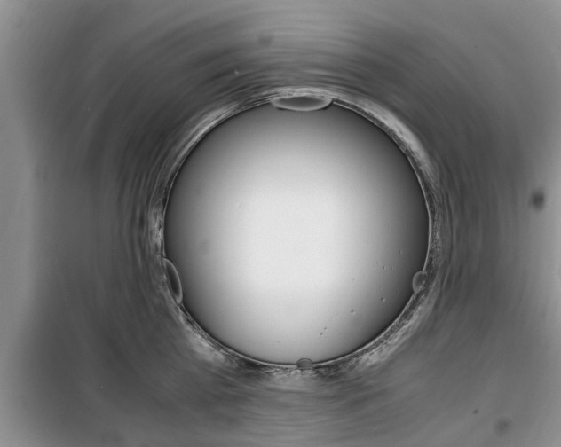 X0000100350809200806060759