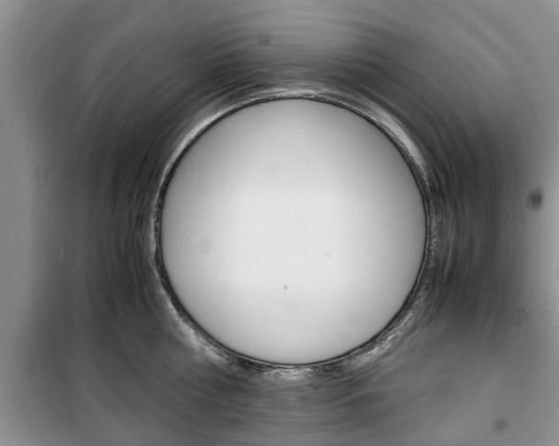X0000100350810200806060759