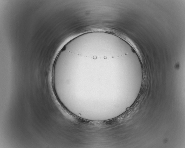X0000100350811200806060759