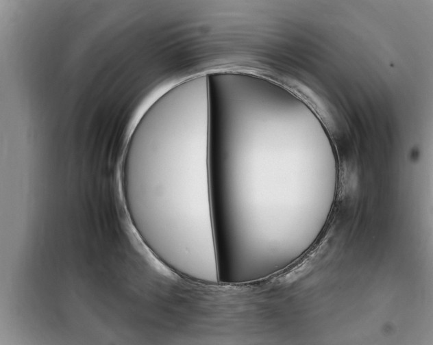 X0000100350812200806060759