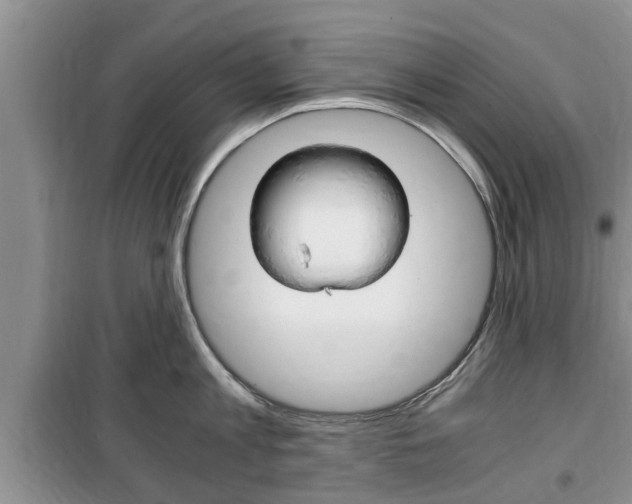 X0000100350813200806060759