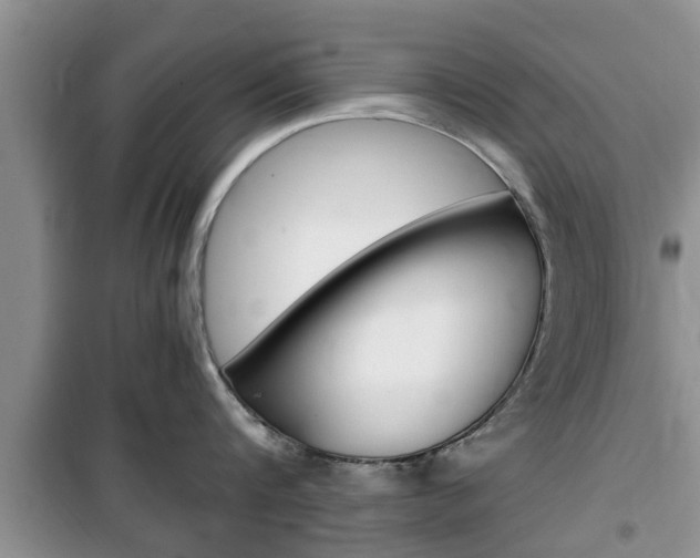X0000100350816200806060759