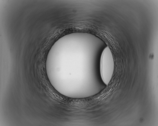 X0000100350817200806060758