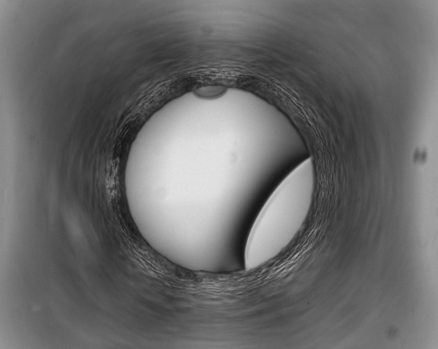 X0000100350818200806060758