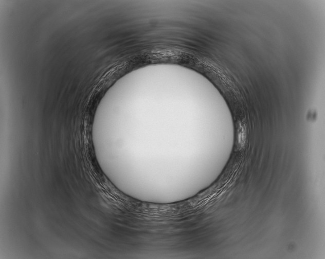 X0000100350819200806060758