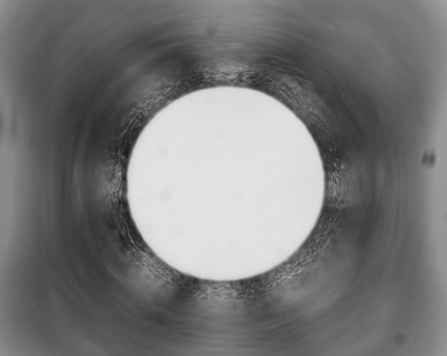X0000100350820200806060758