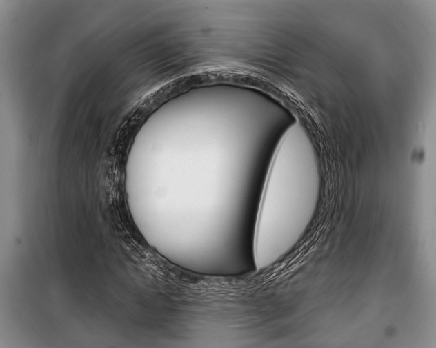 X0000100350822200806060758