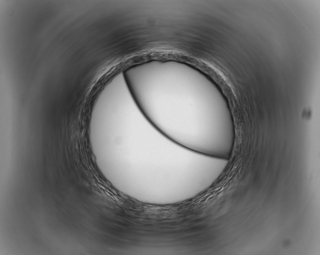 X0000100350823200806060758