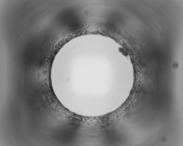 X0000100350824200806060758